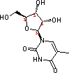 1-[(2R,3R,4S,5R)-3,4-dihydroxy-5-(hydroxymethyl)oxolan-2-yl]-5-methylpyrimidine-2,4-dione 1463-10-1