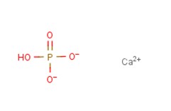 calcium hydrogen phosphate 7757-93-9