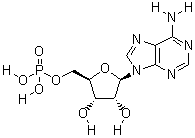5'-Adenosine Monophosphoric Acid 61-19-8