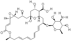 Natamycin 7681-93-8