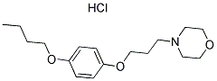 Pramoxine HCL 637-58-1