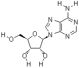 Adenosine 58-61-7