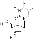 Thymidine 50-89-5