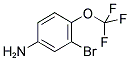 2-溴-4-氨基三氟甲氧基苯 191602-54-7