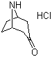 25602-68-0 nortropinone hydrochloride