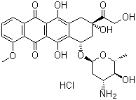 Epirubicin hydrochloride 56390-09-1