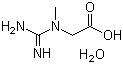 6020-87-7 Creatine Monohydrate