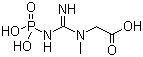 67-07-2 phosphocreatine