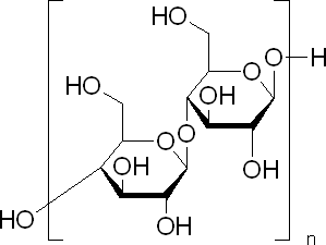 纤维素酶