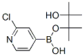 2-Chloropyridine-4-boronic acid pinacol ester 458532-84-8