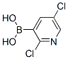 2,5-Dichloropyridine-3-boronic acid 536693-97-7