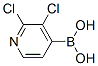 2,3-Dichloropyridine-4-boronic acid 951677-39-7