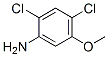 2,4-二氯-5-甲氧基苯胺 98446-49-2