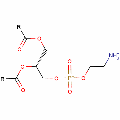 磷脂酰乙醇胺