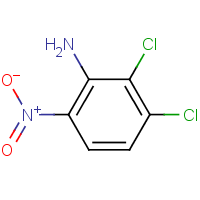 2,3-二氯-6-硝基苯胺