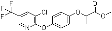 Haloxyfop-methyl 69806-40-2