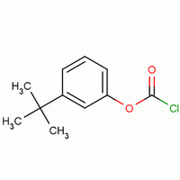 49561-88-8  m-tert-butylphenyl chloroformate