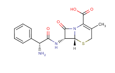 cephalexin