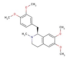 S-ڵA