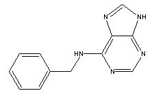 6-Benzyl Aminopurine