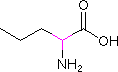 L-正缬氨酸 6600-40-4