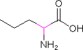 L-NORVALINE