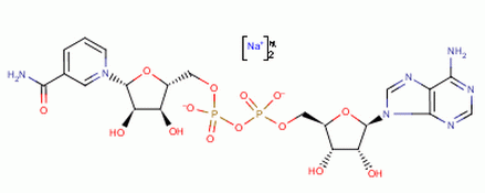烟酰胺腺嘌呤二核苷二钠 606-68-8