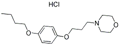 Pramoxine hydrochloride