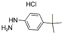 4-tert-Butylphenylhydrazine monohydrochloride