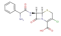 Cefaclor