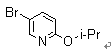 5-Bromo-2-isopropylpyridine