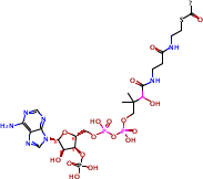 Acyl Coenzyme A 9029-97-4