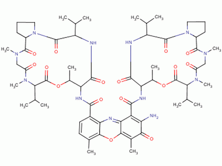 Actinomycin d