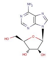 Vidarabine