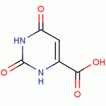 Orotic acid