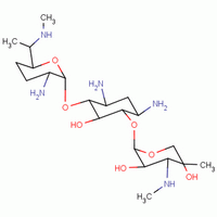 Gentamicin