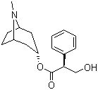 Hyoscyamine