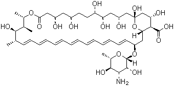 Amphotericin B