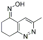 184021-51-0  3-METHYL-5,6,7,8-TETRAHYDROCINNOLIN-5-ONE OXIME 184021-51-0  3-METHYL-5,6,7,8-TETRAHYDROCINNOLIN-5-ONE OXIME