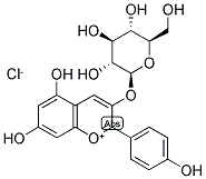 Callistephin chloride