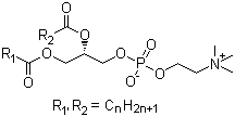 Polyene Phosphatidylcholine