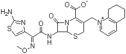 cefquinome