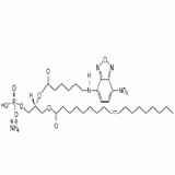 Phosphatidic Acid 9001-77-8