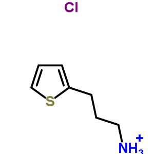 53632-92-1  3-(thiophen-2-yl)propan-1-aminium chloride