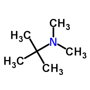 6338-78-9;918-02-5  N,N,2-trimetilpropán-2-amin