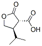 147160-17-6  3-Furancarboxylicacid,tetrahydro-4-(1-methylethyl)-2-oxo-,trans-(9CI)