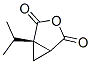 148261-91-0  3-Oxabicyclo[3.1.0]hexane-2,4-dione,1-(1-methylethyl)-,(1R)-(9CI)