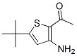 2-Acetyl-3-amino-5-t-butylthiophene