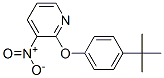 246236-65-7  2-[4-(tert-butyl)phenoxy]-3-nitropyridine