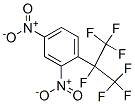 24813-57-8  heptafluoroisopropyl-2,4-dinitrobenzene